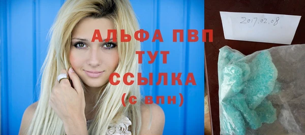первитин Инсар