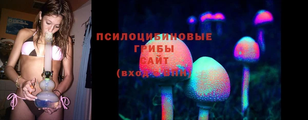 гидропоника Инта