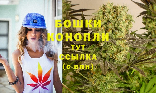 первитин Инсар
