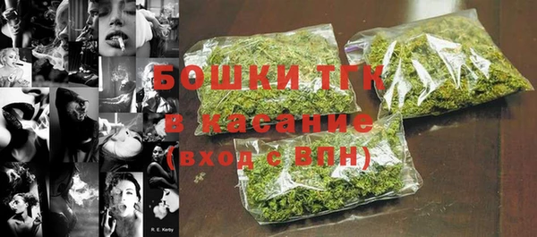 первитин Инсар